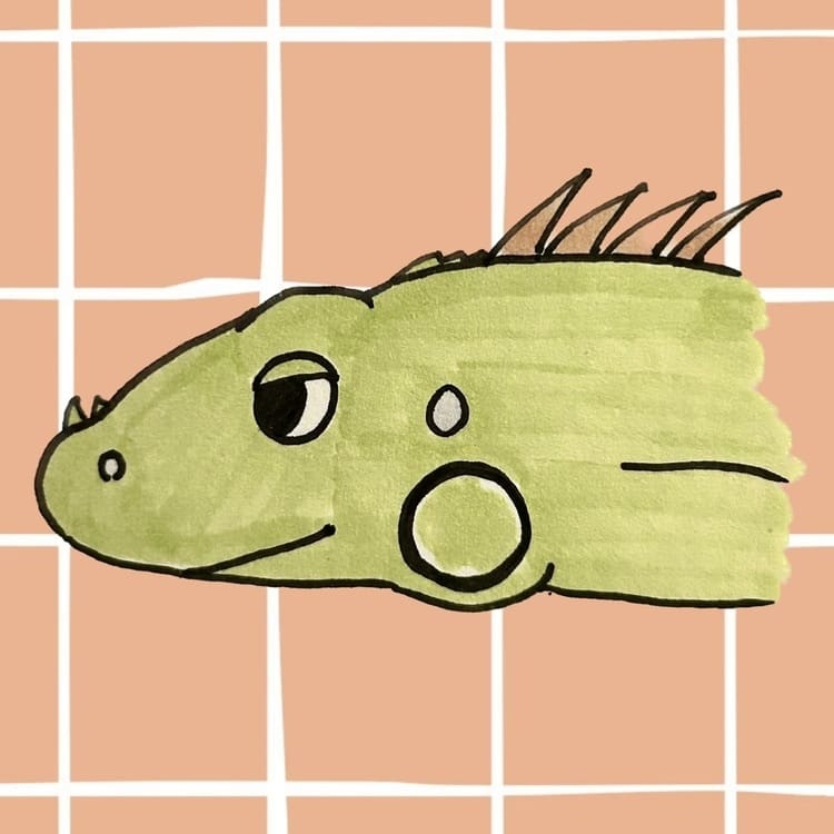 kami.jpg