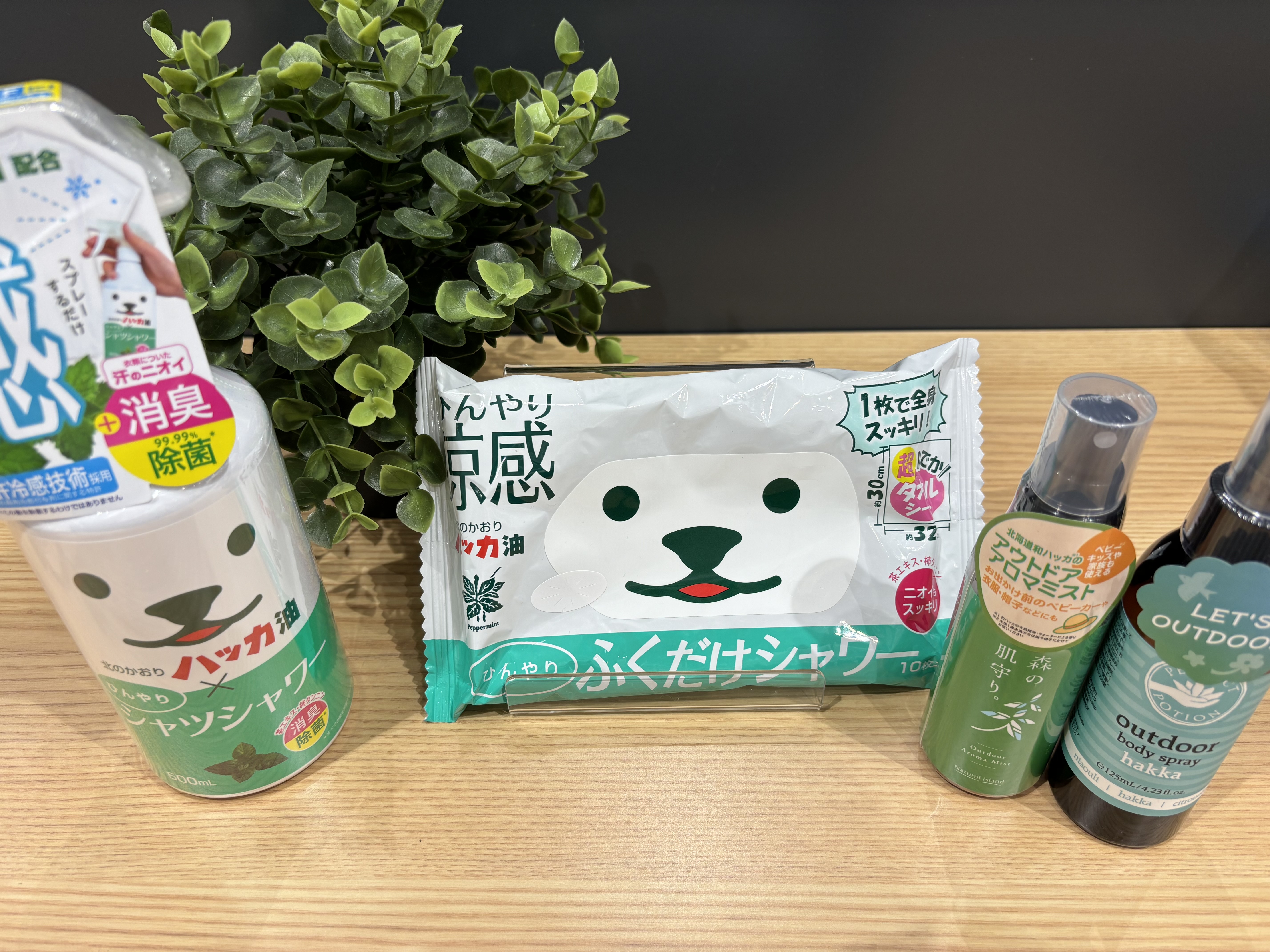 スーッと快適！ハッカ商品のご紹介【プラグスマーケット広島LECT店】