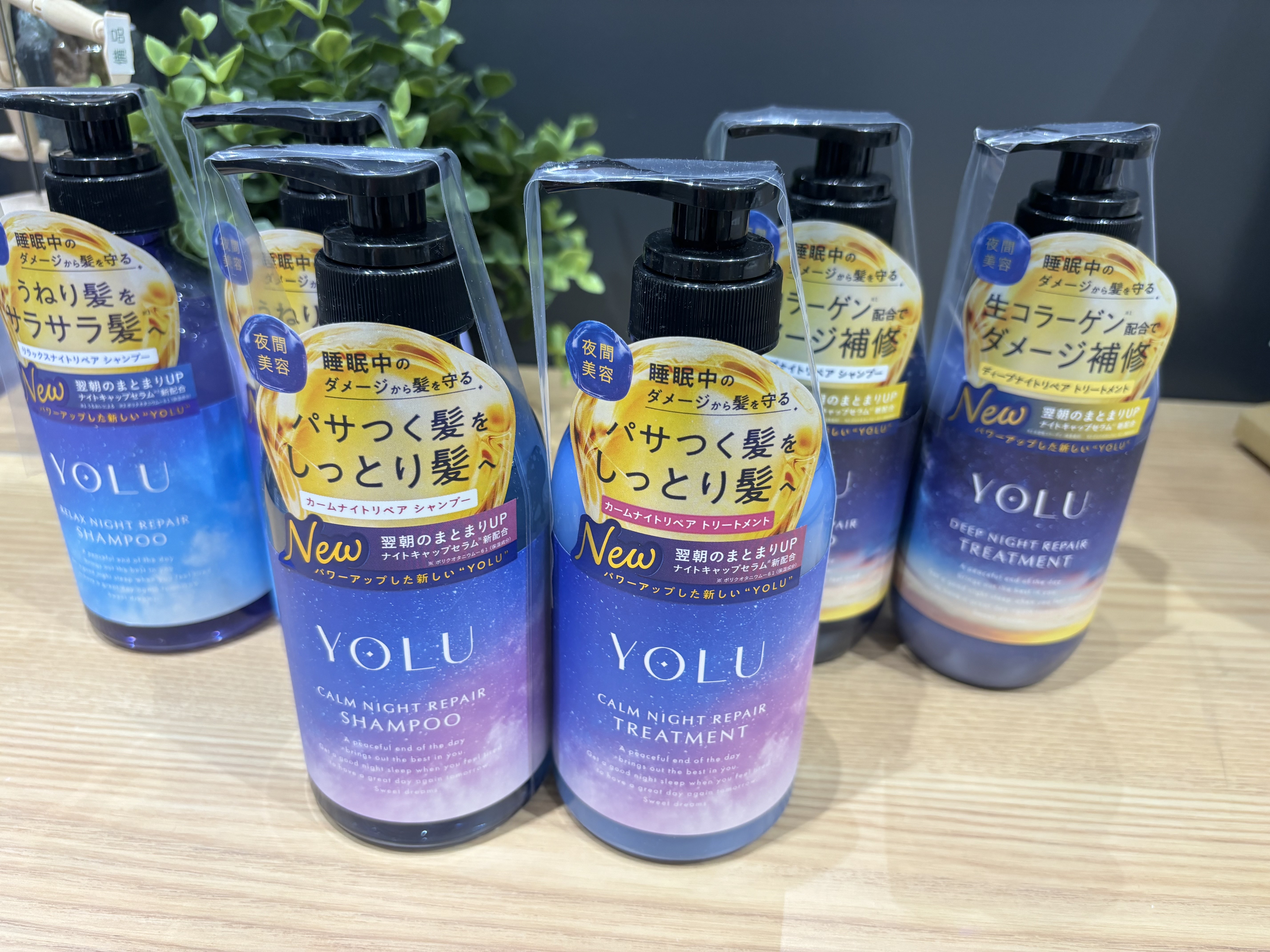 YOLUがリニューアルいたしました！【プラグスマーケット広島LECT店】