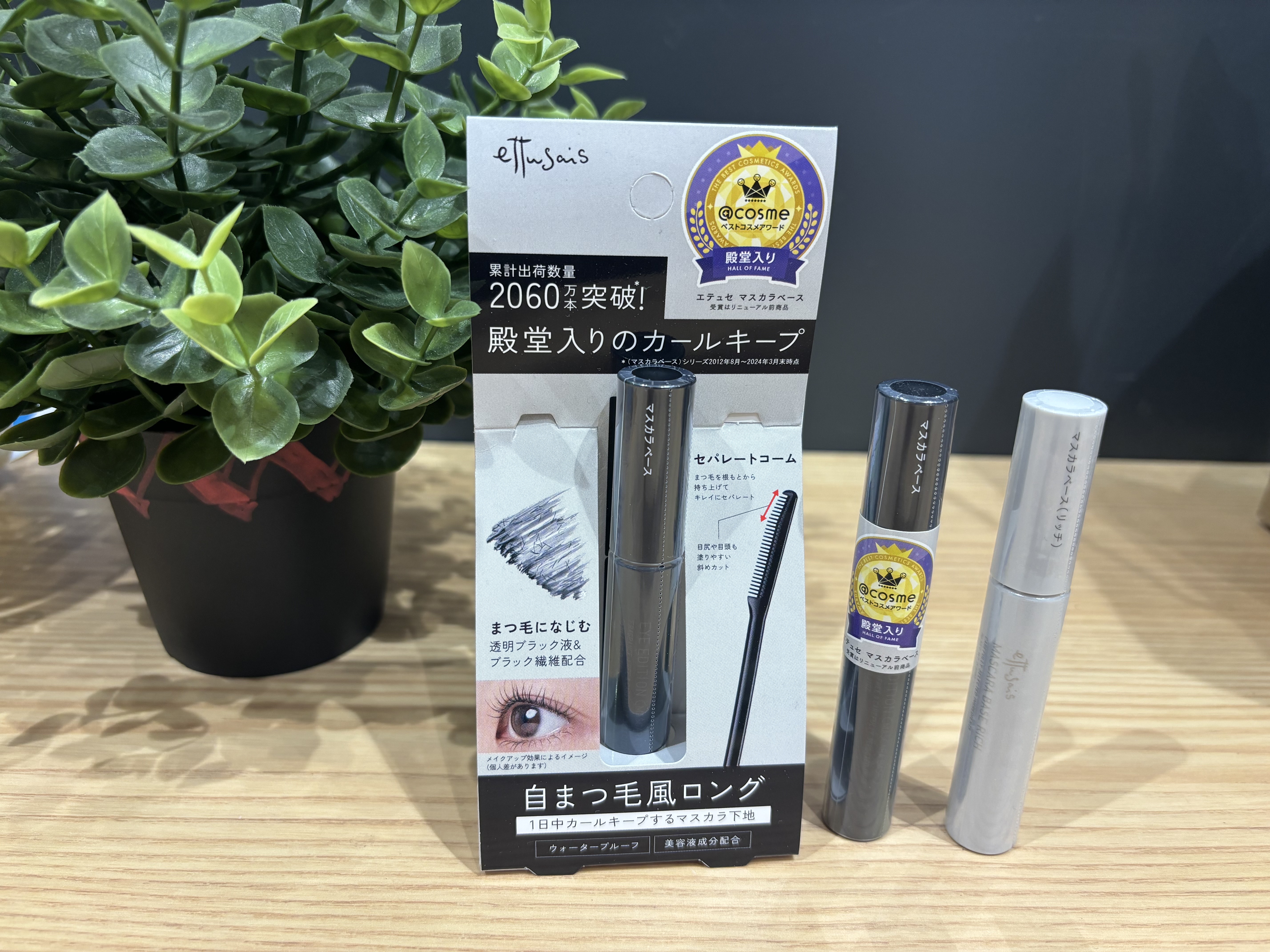 大人気!エテュセのマスカラベースのご案内!【プラグスマーケット広島LECT店】