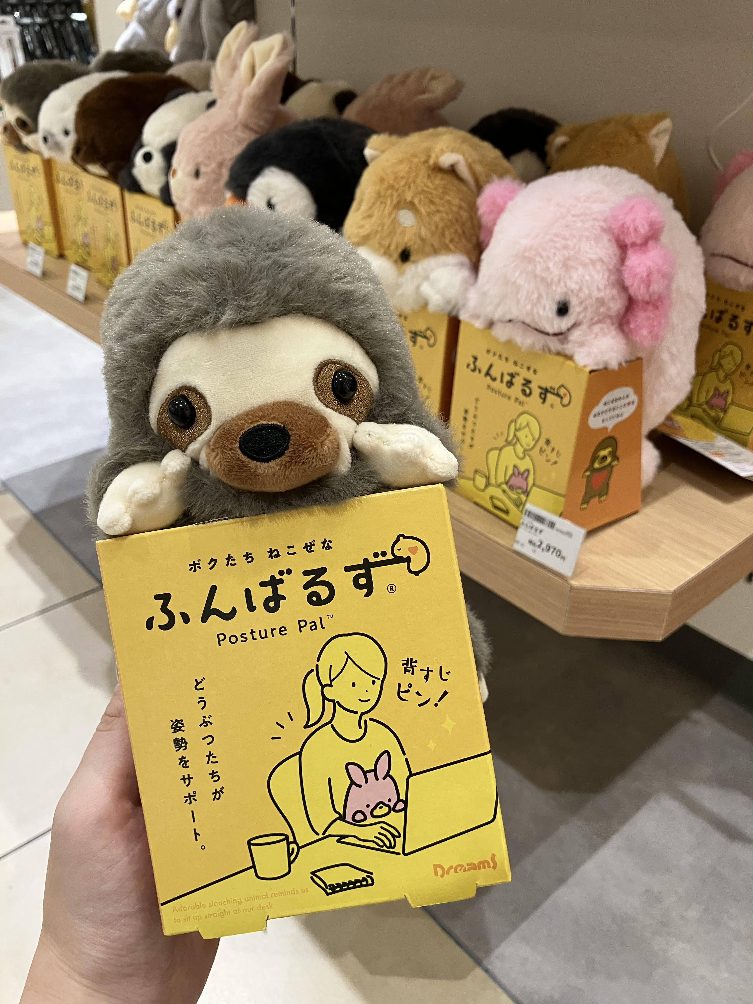 ふんばるずのご紹介☆