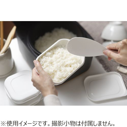 冷凍ごはん容器のご紹介☆【プラグスマーケット広島LECT店】