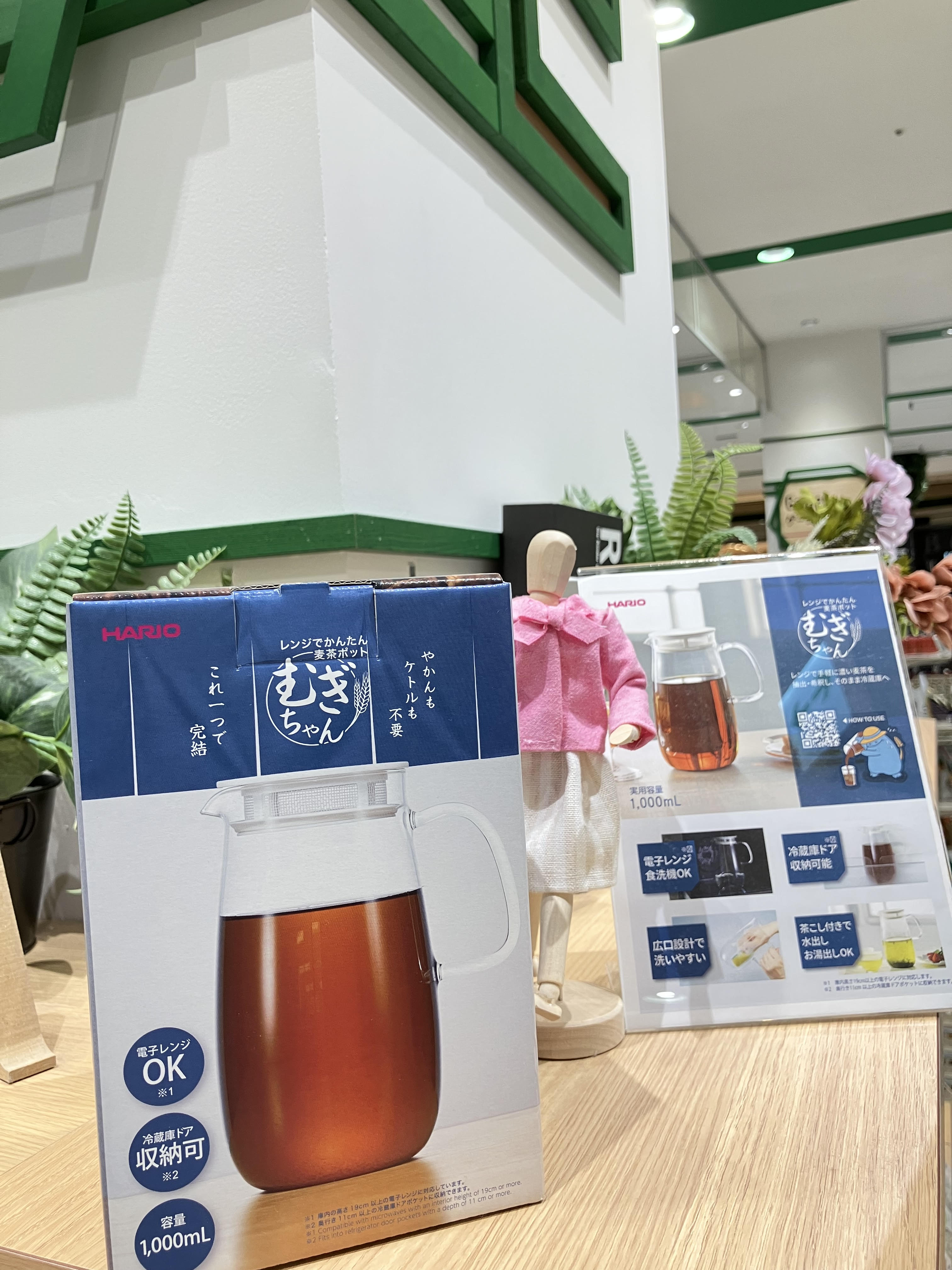 大人気！むぎちゃんのご紹介！【プラグスマーケット広島LECT店】