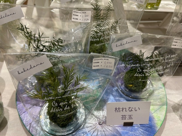 image2 (17).jpeg