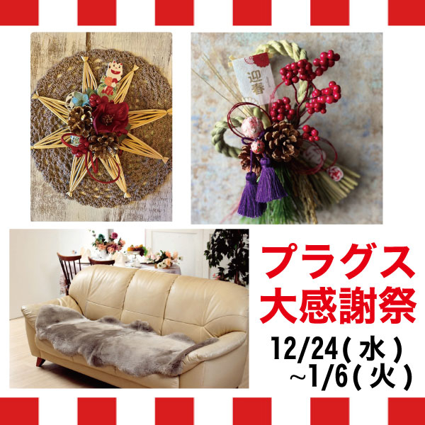 【プラグス マーケット高知店】『プラグス大感謝祭』