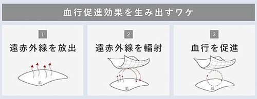 20250331-bakune-2.jpg