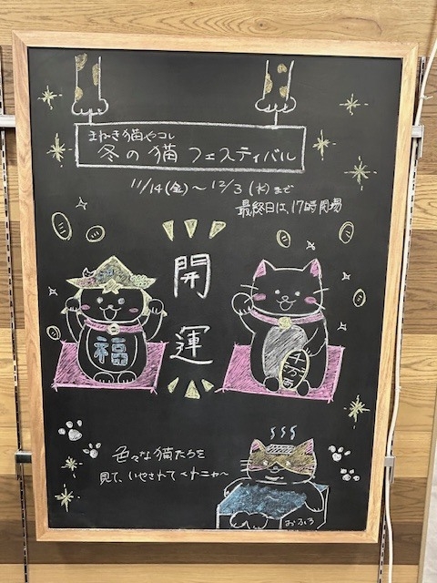 【プラグスマーケット下松店】まねき猫やコレ　冬の猫フェスティバル【伝え場】