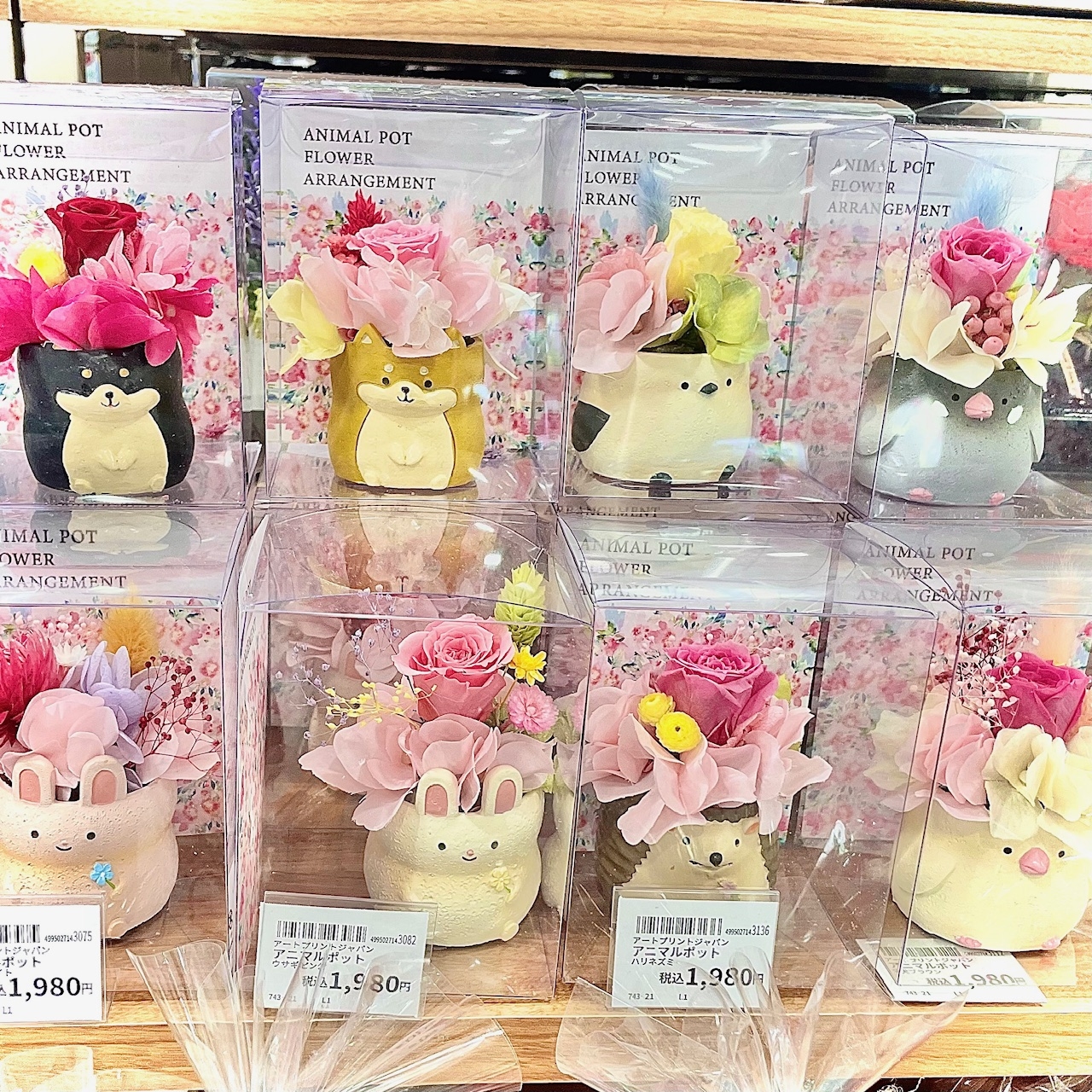 動物花.jpg