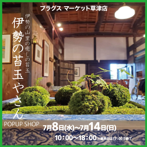 【プラグス マーケット草津店】koke