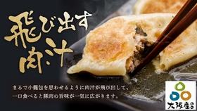 IMG_4297 大阪産.JPG