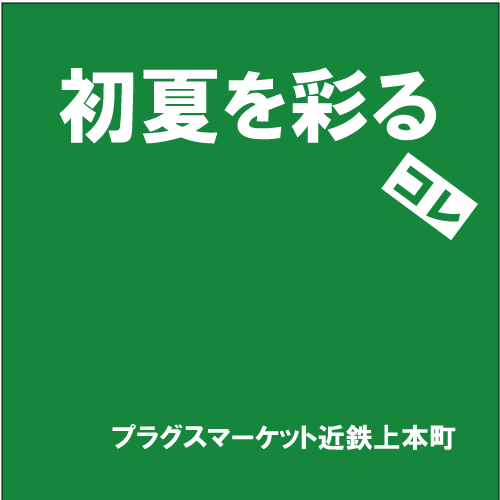 【プラグスマーケット近鉄上本町】「初夏を彩る」コレ