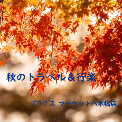【プラグス マーケット八木橋店】秋のトラベル＆行楽
