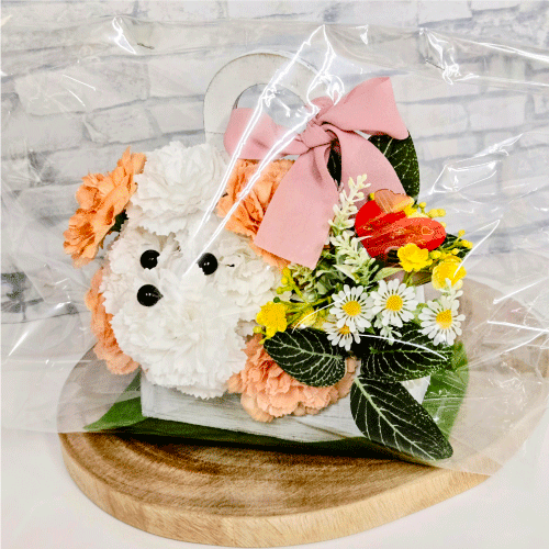 プラグス マーケット八木橋店】笑顔咲くフラワーギフト - 店舗の