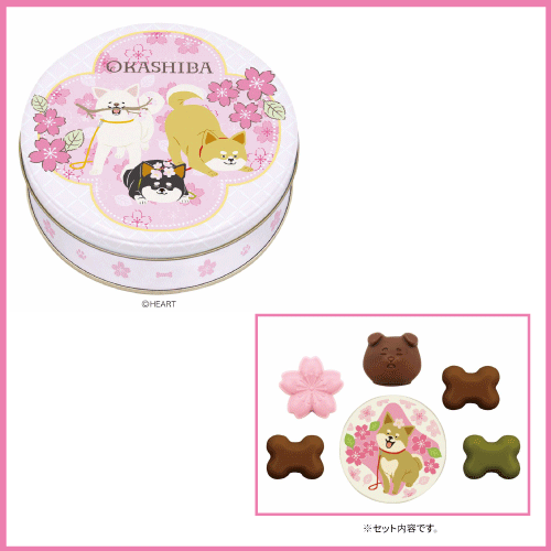 プラグス マーケット八木橋店】春を彩るギフト - 店舗のイチオシ