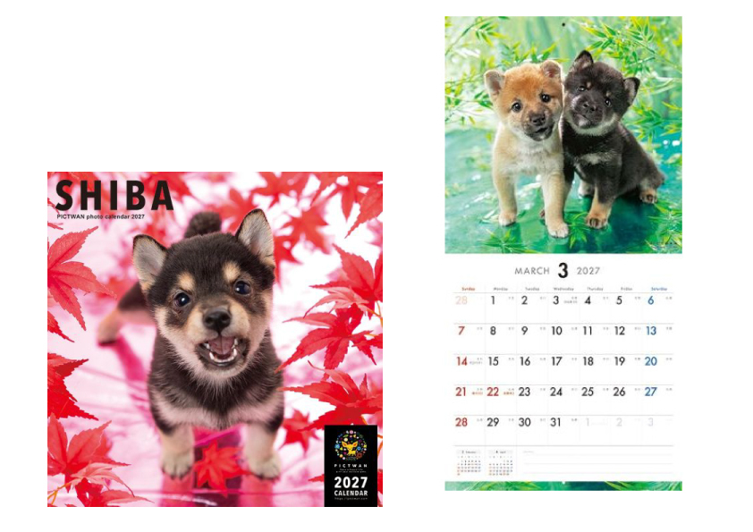 犬.jpg