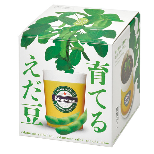 聖新陶芸；えだ豆栽培セット；ＧＤ９７９.jpg