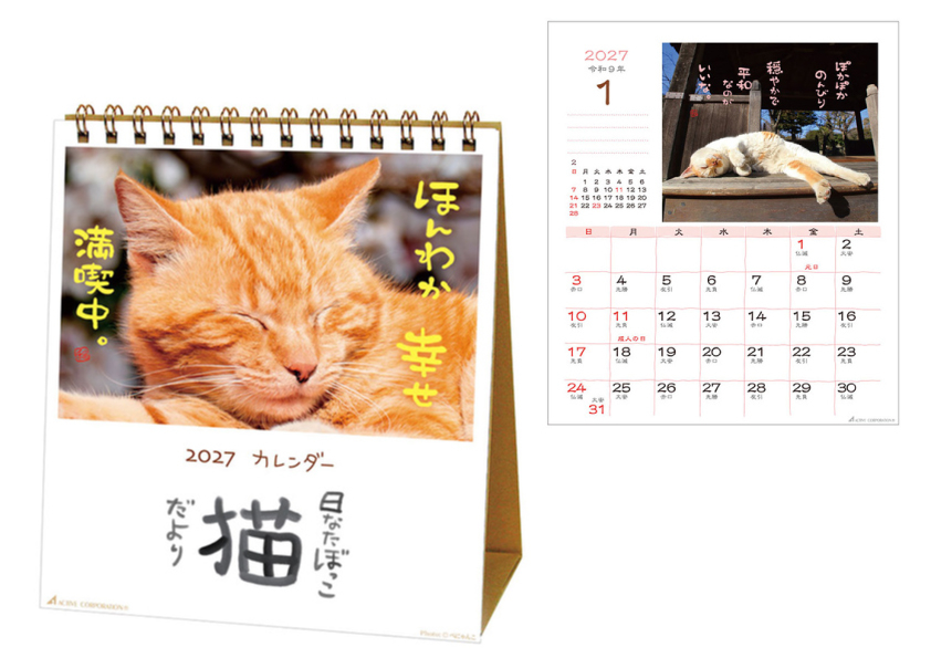 猫.jpg